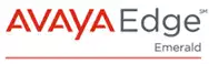 Avaya Partner